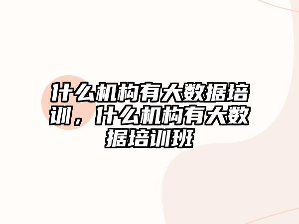 什么機構(gòu)有大數(shù)據(jù)培訓(xùn)，什么機構(gòu)有大數(shù)據(jù)培訓(xùn)班