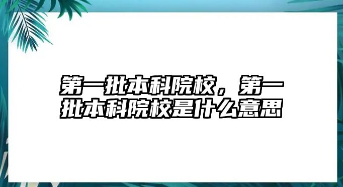 第一批本科院校，第一批本科院校是什么意思