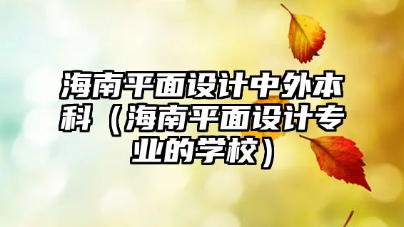 海南平面設計中外本科（海南平面設計專業(yè)的學校）