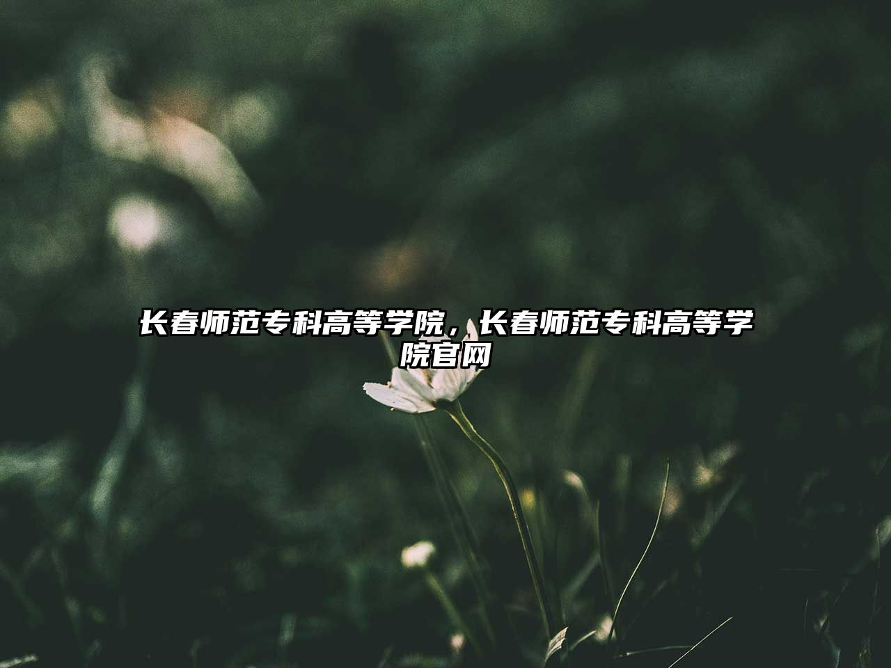 長(zhǎng)春師范專科高等學(xué)院，長(zhǎng)春師范專科高等學(xué)院官網(wǎng)