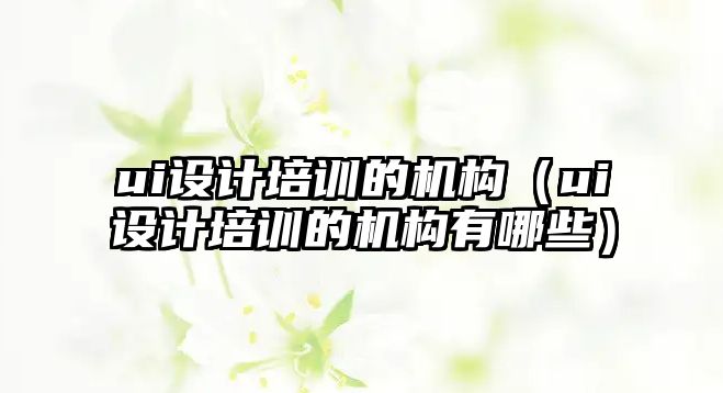 ui設計培訓的機構(gòu)（ui設計培訓的機構(gòu)有哪些）