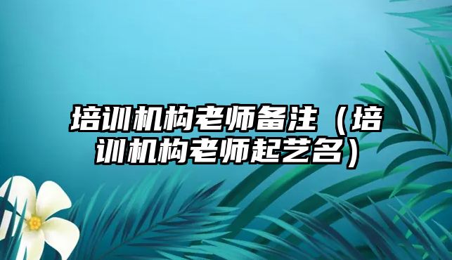 培訓機構(gòu)老師備注（培訓機構(gòu)老師起藝名）