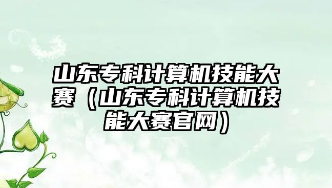 山東專科計算機技能大賽（山東專科計算機技能大賽官網(wǎng)）