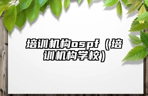 培訓機構ospf（培訓機構學校）