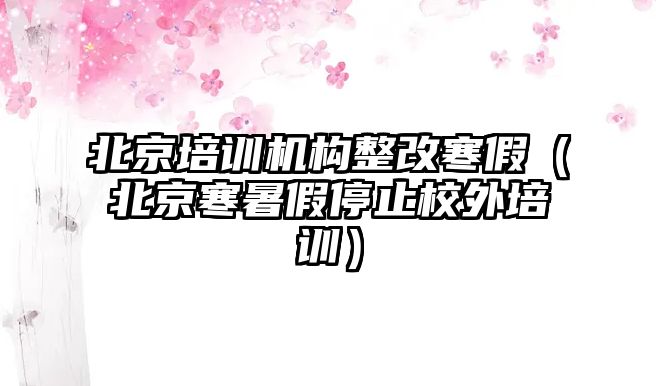 北京培訓(xùn)機(jī)構(gòu)整改寒假（北京寒暑假停止校外培訓(xùn)）