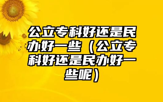 公立專科好還是民辦好一些（公立專科好還是民辦好一些呢）