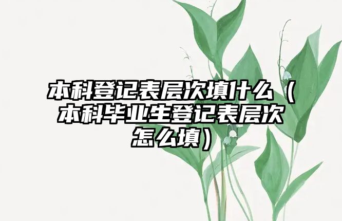 本科登記表層次填什么（本科畢業(yè)生登記表層次怎么填）