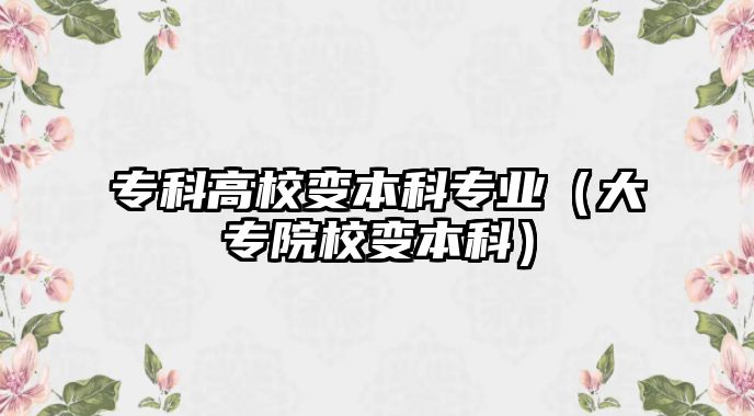 專科高校變本科專業(yè)（大專院校變本科）