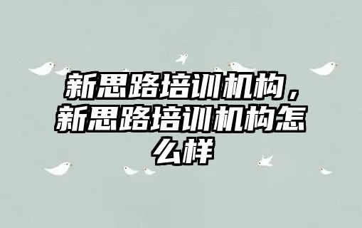 新思路培訓機構(gòu)，新思路培訓機構(gòu)怎么樣