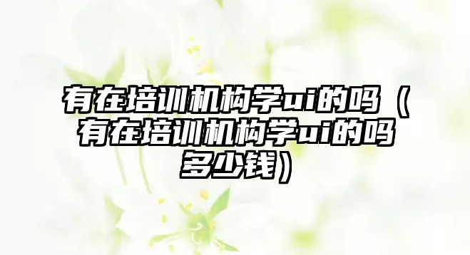 有在培訓機構(gòu)學ui的嗎（有在培訓機構(gòu)學ui的嗎多少錢）