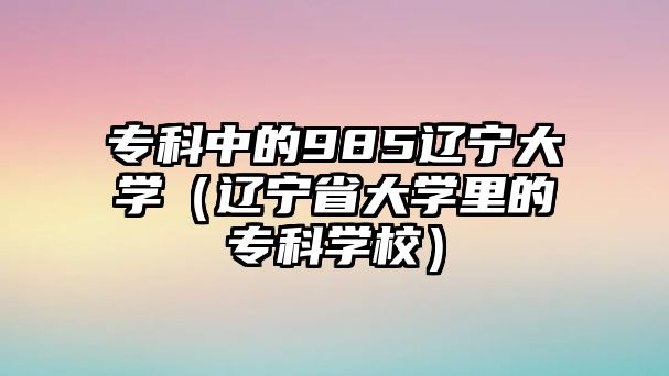 專科中的985遼寧大學（遼寧省大學里的專科學校）