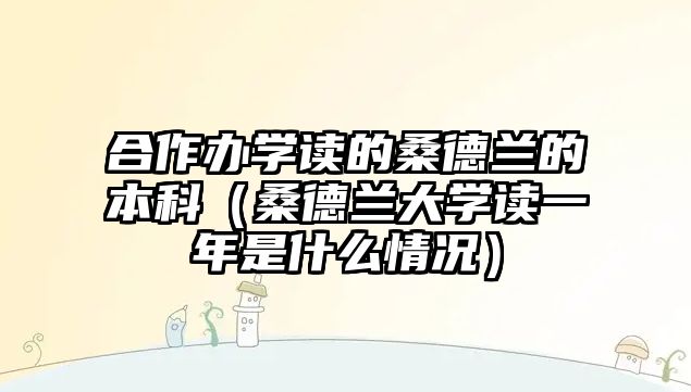 合作辦學(xué)讀的桑德蘭的本科（桑德蘭大學(xué)讀一年是什么情況）