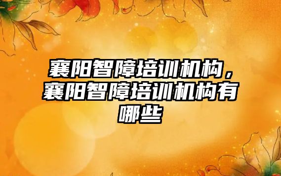 襄陽智障培訓機構，襄陽智障培訓機構有哪些