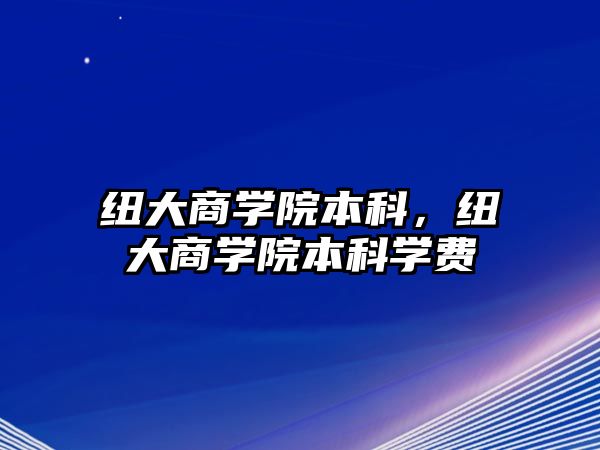 紐大商學(xué)院本科，紐大商學(xué)院本科學(xué)費(fèi)