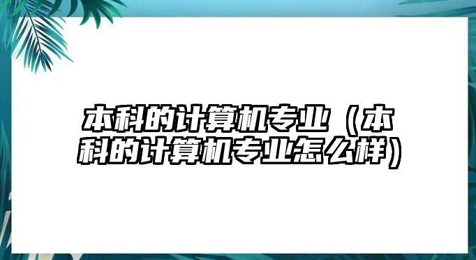 本科的計(jì)算機(jī)專業(yè)（本科的計(jì)算機(jī)專業(yè)怎么樣）