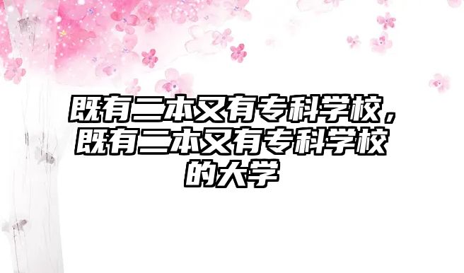 既有二本又有專科學校，既有二本又有專科學校的大學