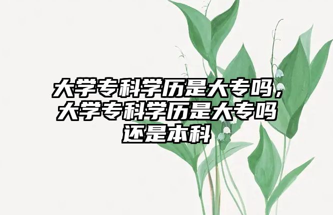 大學(xué)專科學(xué)歷是大專嗎，大學(xué)專科學(xué)歷是大專嗎還是本科