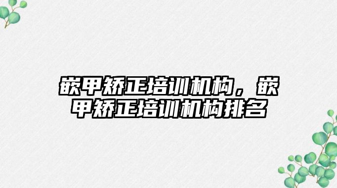 嵌甲矯正培訓機構，嵌甲矯正培訓機構排名