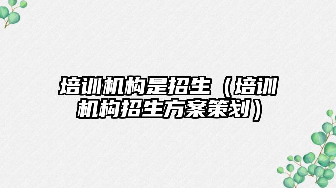 培訓機構(gòu)是招生（培訓機構(gòu)招生方案策劃）