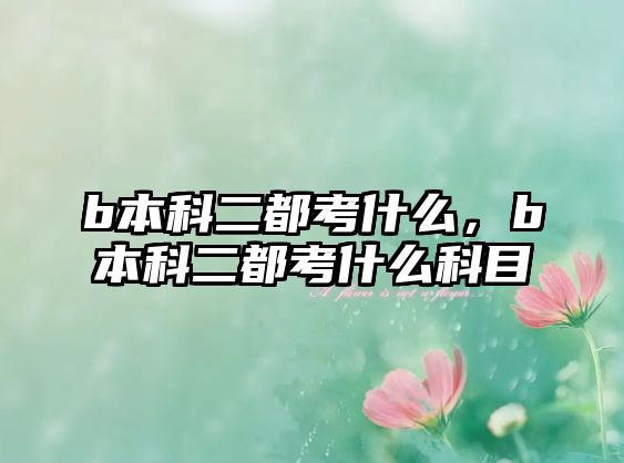 b本科二都考什么，b本科二都考什么科目