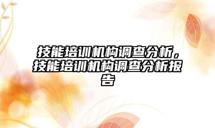 技能培訓機構調查分析，技能培訓機構調查分析報告