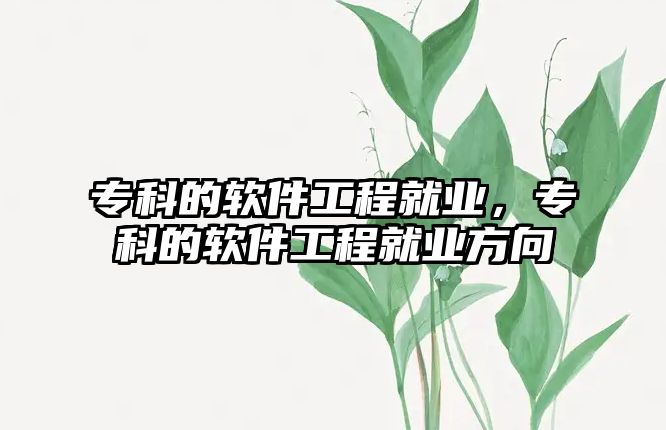 專科的軟件工程就業(yè)，專科的軟件工程就業(yè)方向