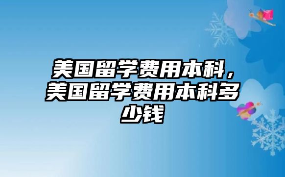 美國留學費用本科，美國留學費用本科多少錢