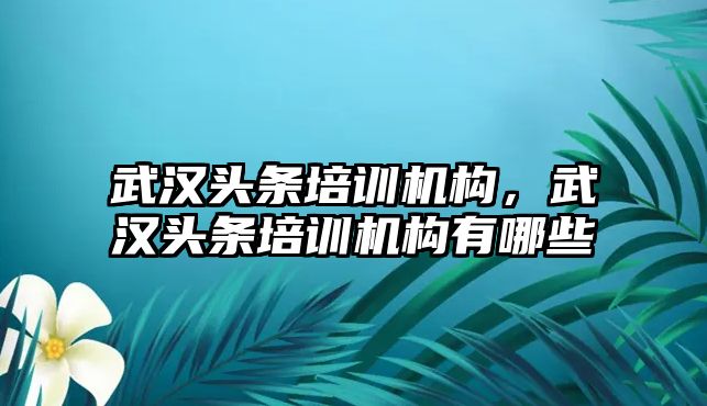 武漢頭條培訓機構，武漢頭條培訓機構有哪些