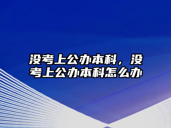 沒考上公辦本科，沒考上公辦本科怎么辦