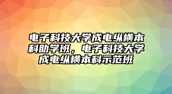 電子科技大學成電縱橫本科助學班，電子科技大學成電縱橫本科示范班