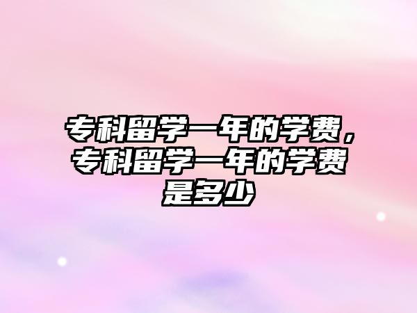 專科留學(xué)一年的學(xué)費(fèi)，專科留學(xué)一年的學(xué)費(fèi)是多少