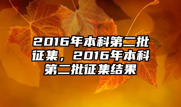 2016年本科第二批征集，2016年本科第二批征集結(jié)果