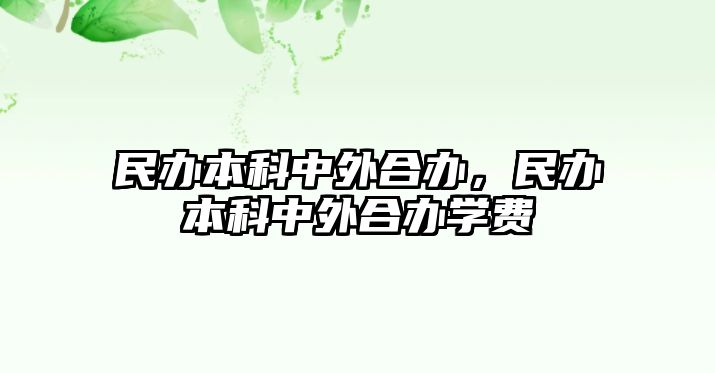 民辦本科中外合辦，民辦本科中外合辦學(xué)費(fèi)