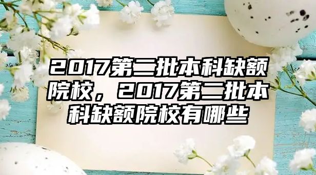 2017第二批本科缺額院校，2017第二批本科缺額院校有哪些