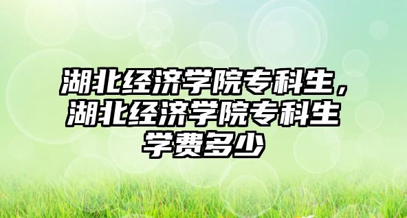 湖北經濟學院專科生，湖北經濟學院專科生學費多少