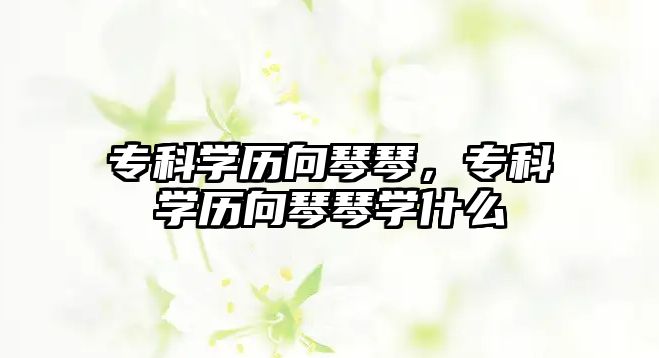 專科學(xué)歷向琴琴，專科學(xué)歷向琴琴學(xué)什么