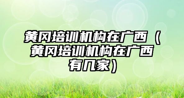 黃岡培訓機構在廣西（黃岡培訓機構在廣西有幾家）