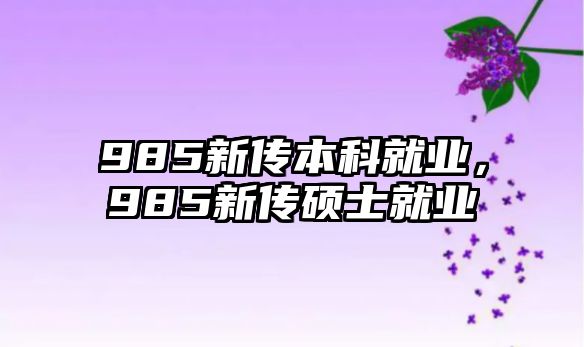 985新傳本科就業(yè)，985新傳碩士就業(yè)