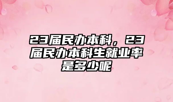 23屆民辦本科，23屆民辦本科生就業(yè)率是多少呢