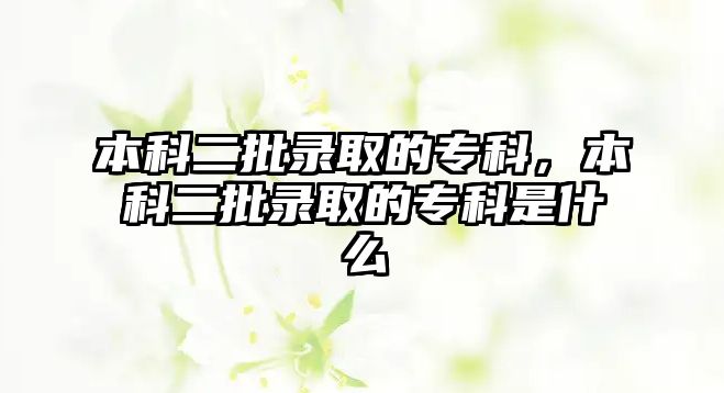 本科二批錄取的專科，本科二批錄取的專科是什么