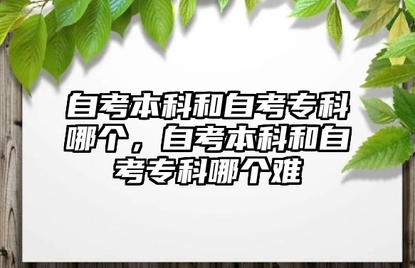 自考本科和自考專科哪個，自考本科和自考專科哪個難