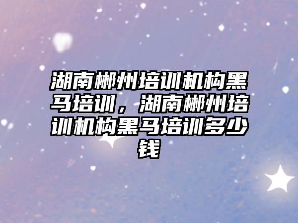 湖南郴州培訓機構黑馬培訓，湖南郴州培訓機構黑馬培訓多少錢