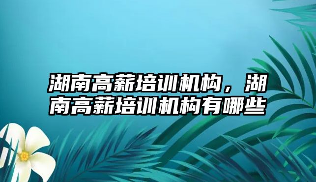 湖南高薪培訓(xùn)機構(gòu)，湖南高薪培訓(xùn)機構(gòu)有哪些