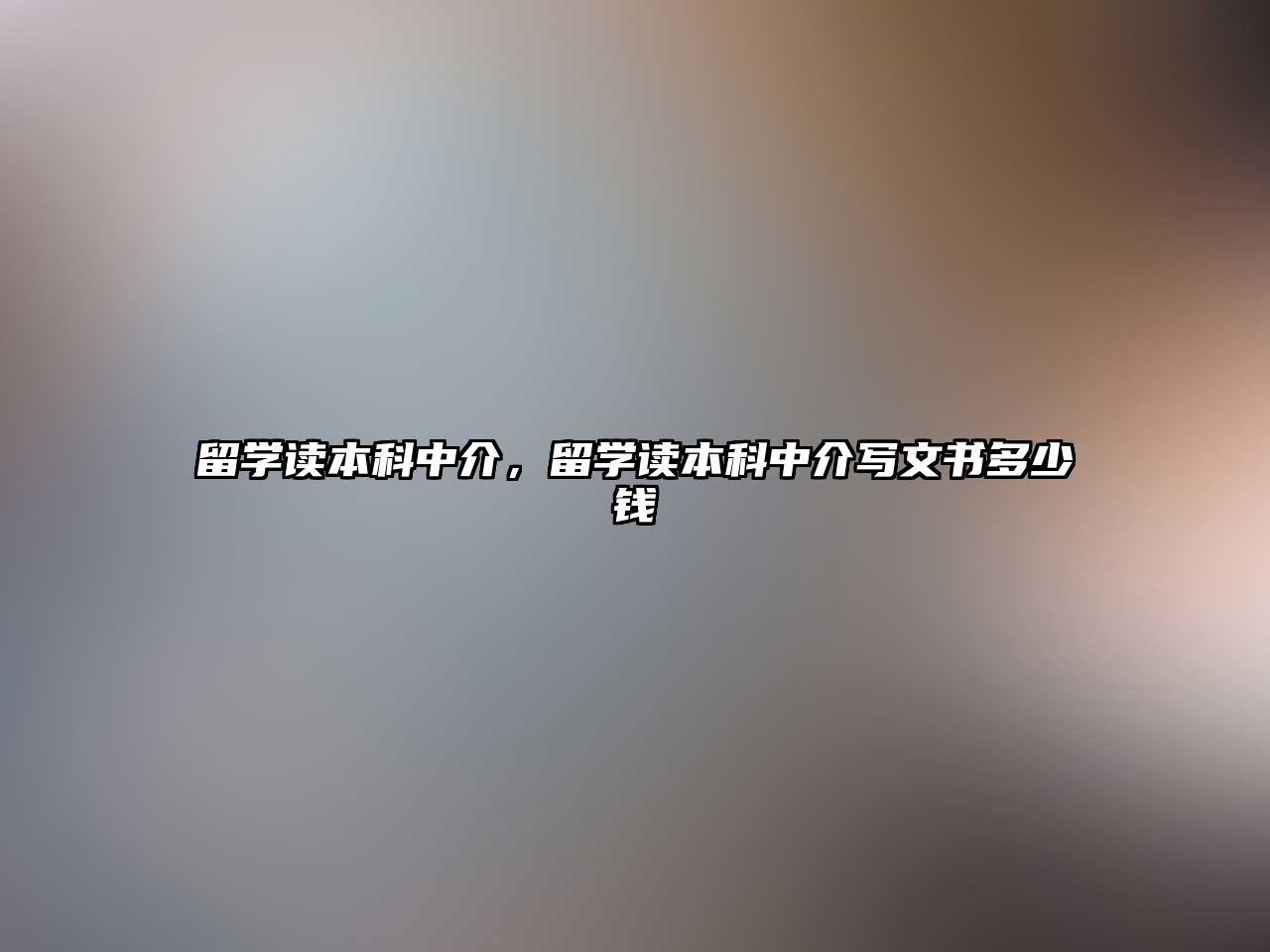 留學讀本科中介，留學讀本科中介寫文書多少錢