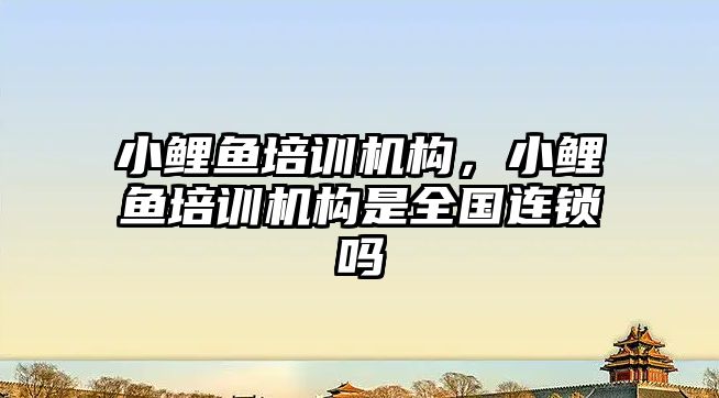 小鯉魚培訓機構，小鯉魚培訓機構是全國連鎖嗎