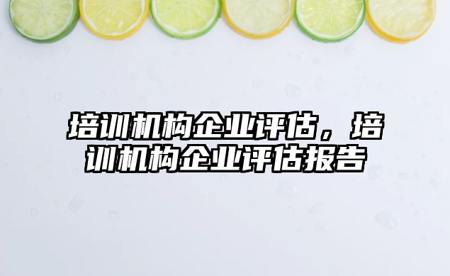 培訓機構企業(yè)評估，培訓機構企業(yè)評估報告