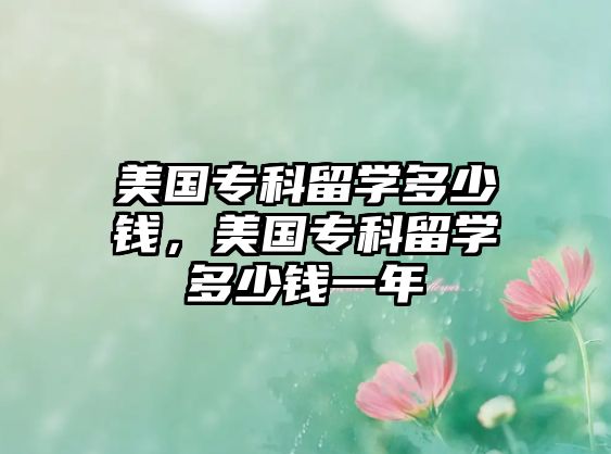 美國專科留學(xué)多少錢，美國專科留學(xué)多少錢一年