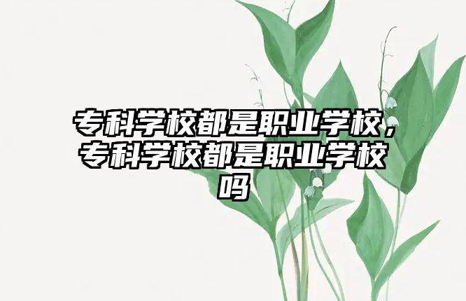 專科學校都是職業(yè)學校，專科學校都是職業(yè)學校嗎