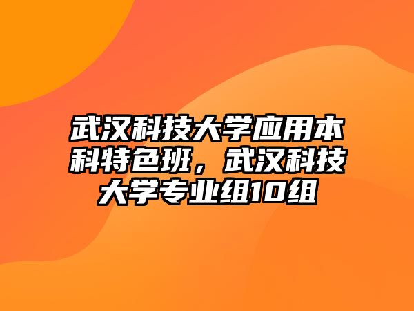 武漢科技大學應用本科特色班，武漢科技大學專業(yè)組10組