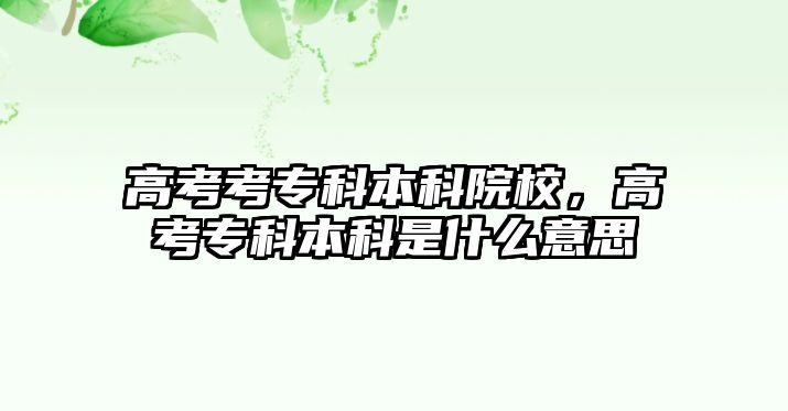 高考考專科本科院校，高考專科本科是什么意思